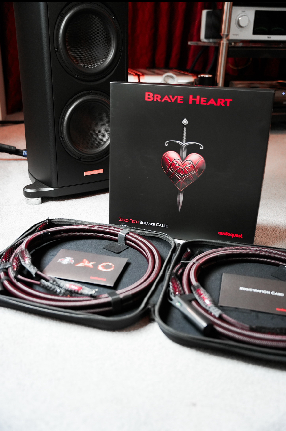 AudioQuest Brave Heart